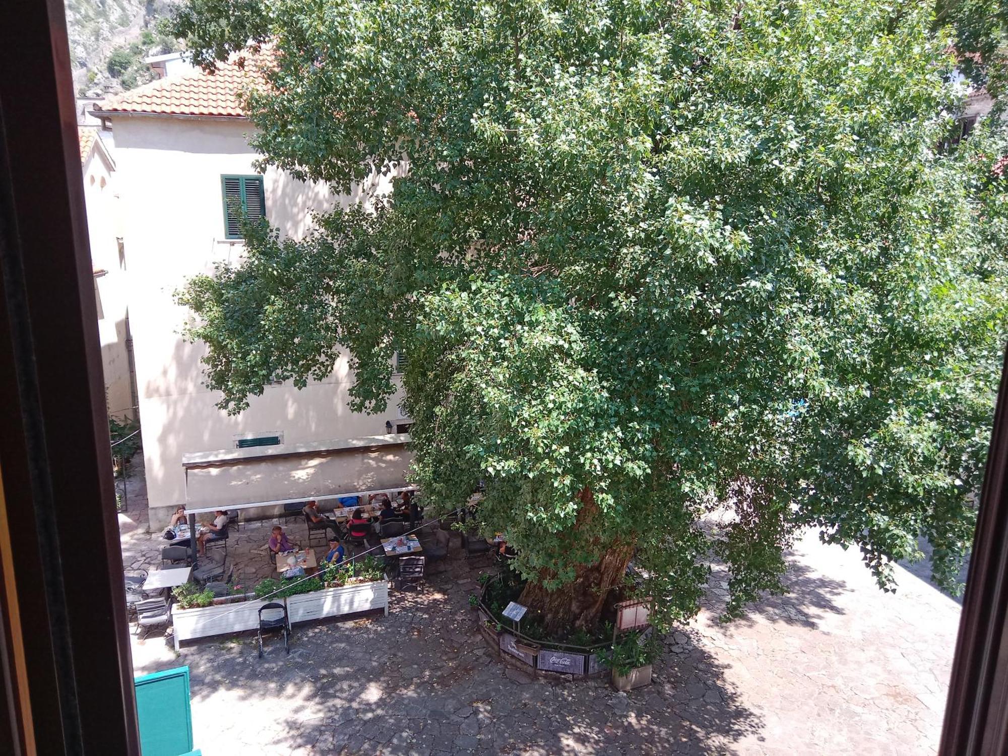 Appartamento Centar Starog Grada Cattaro Esterno foto